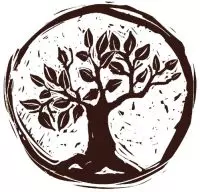 Kollege-Baum