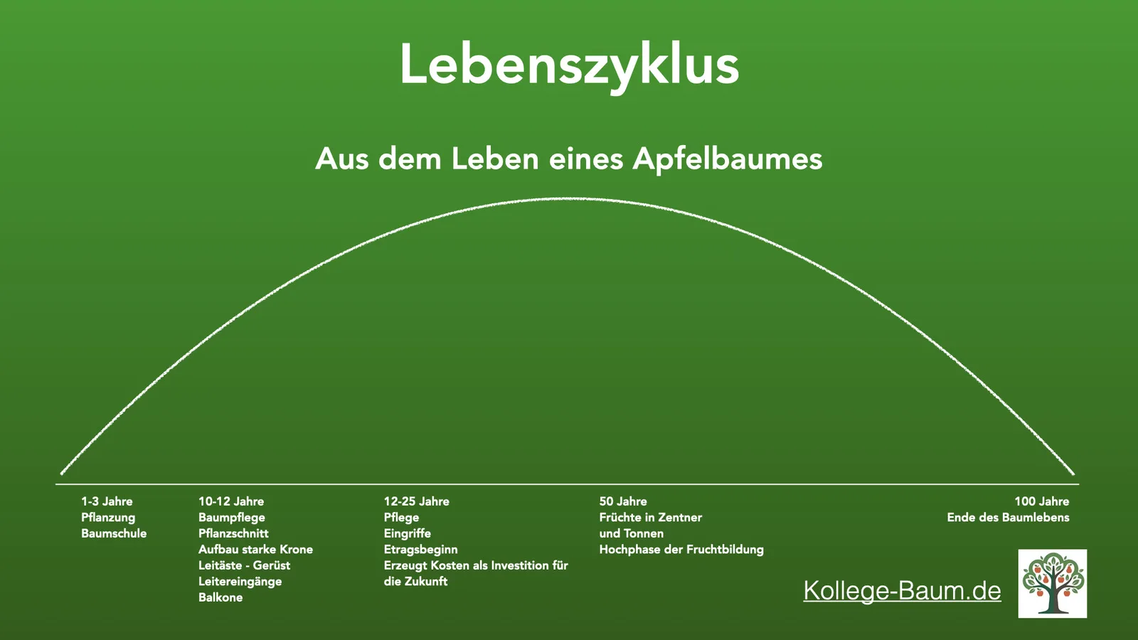 Grafik: Lebenszyklus eines Apfelbaums von der Pflanzung bis zum Ende des Baumlebens nach 100 Jahren, mit den Phasen Baumschule, Kronenaufbau, Ertragsbeginn, Hochphase der Fruchtbildung